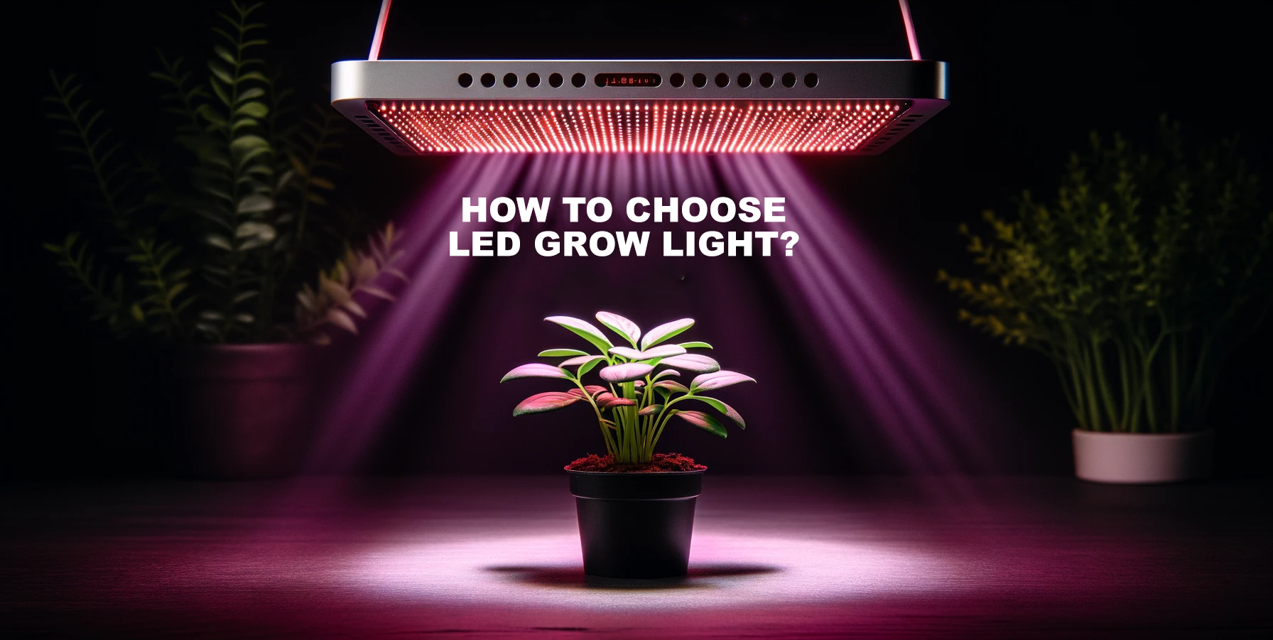 How to choose LED grow light for plants? Beginners guide