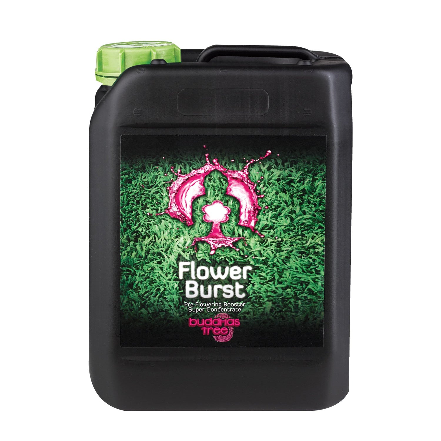 Buddha's Tree Flower Burst 5L