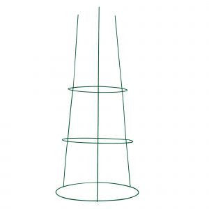 Green Plant Trellis Support (0.8m)