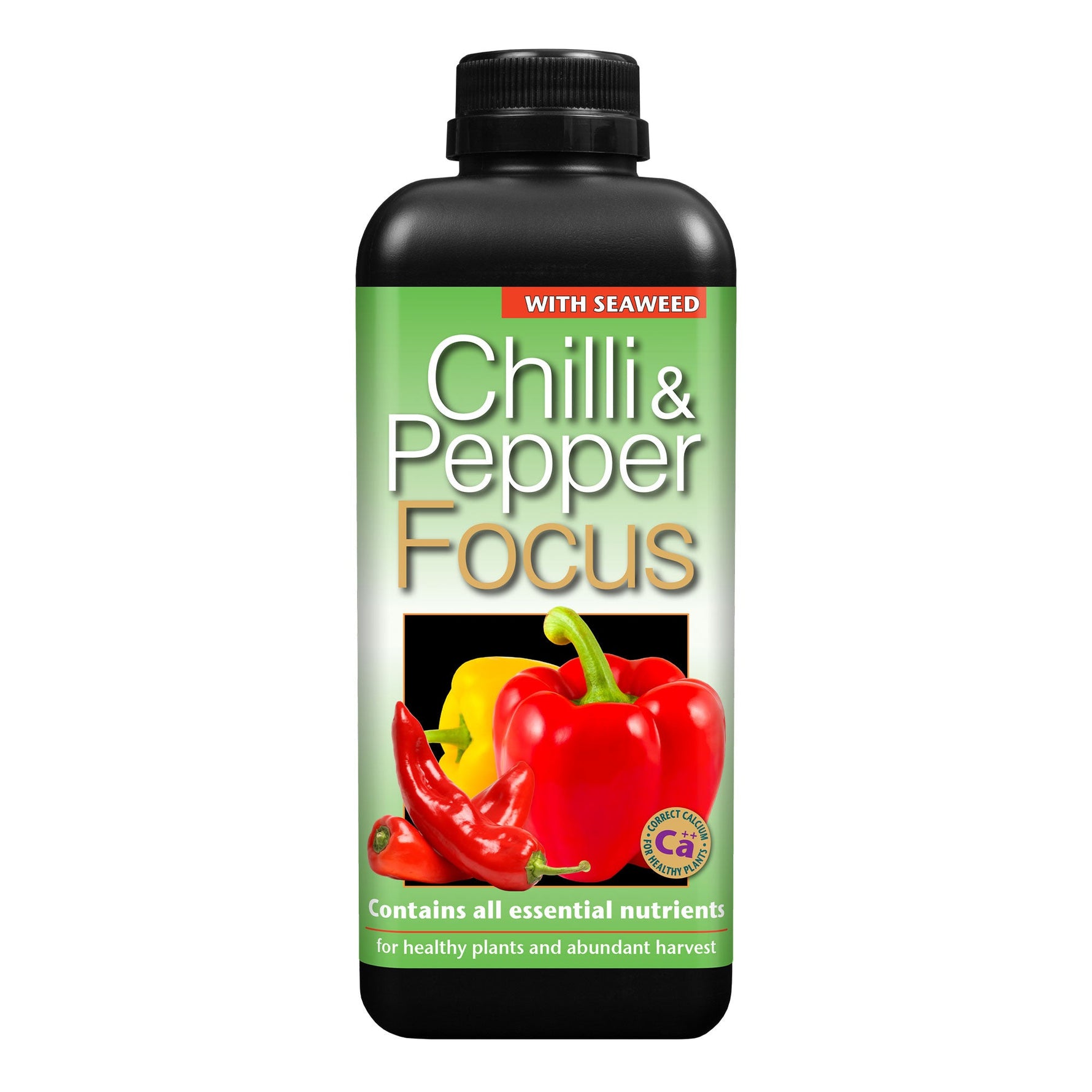 GT Chilli Focus 1L