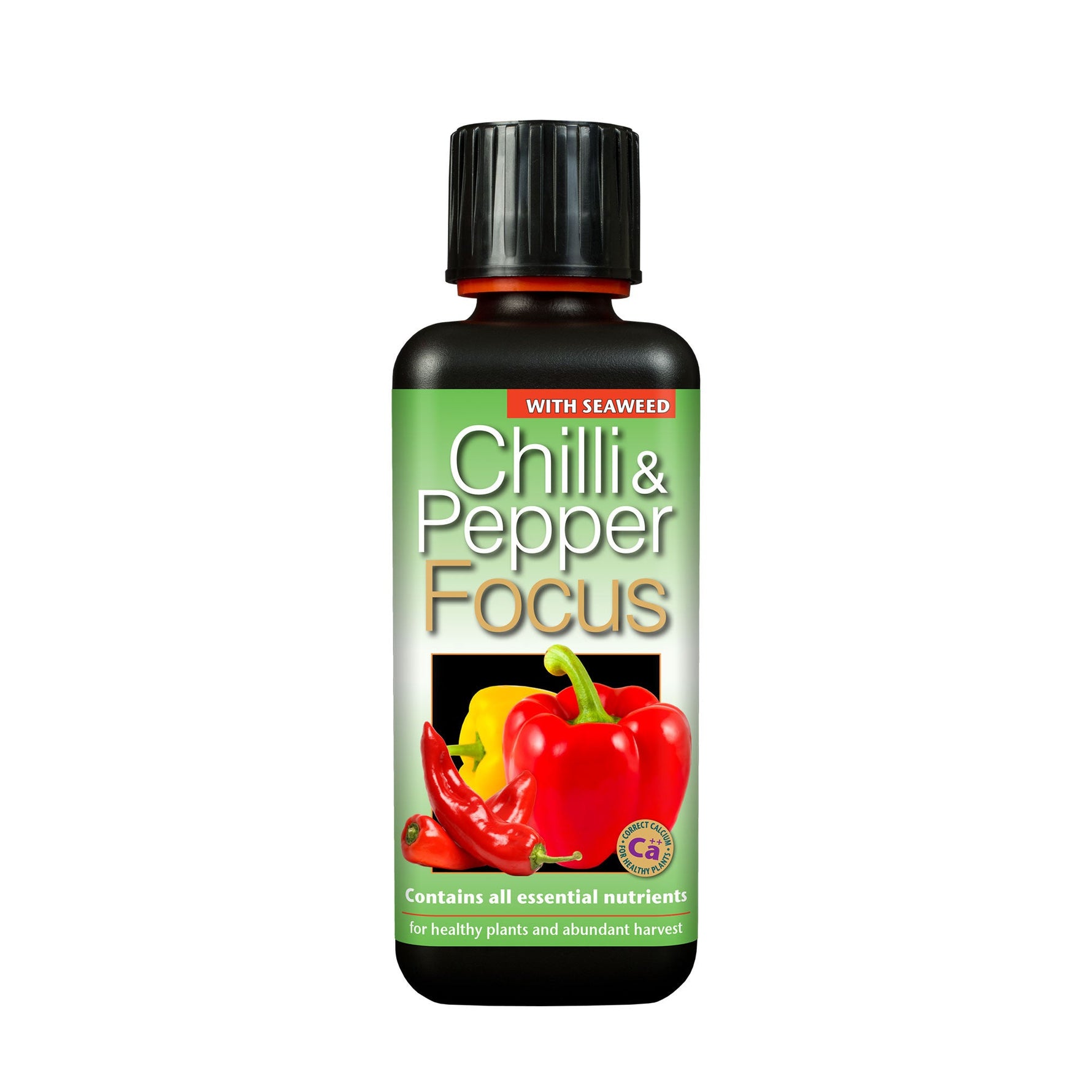 GT Chilli Focus 300ml