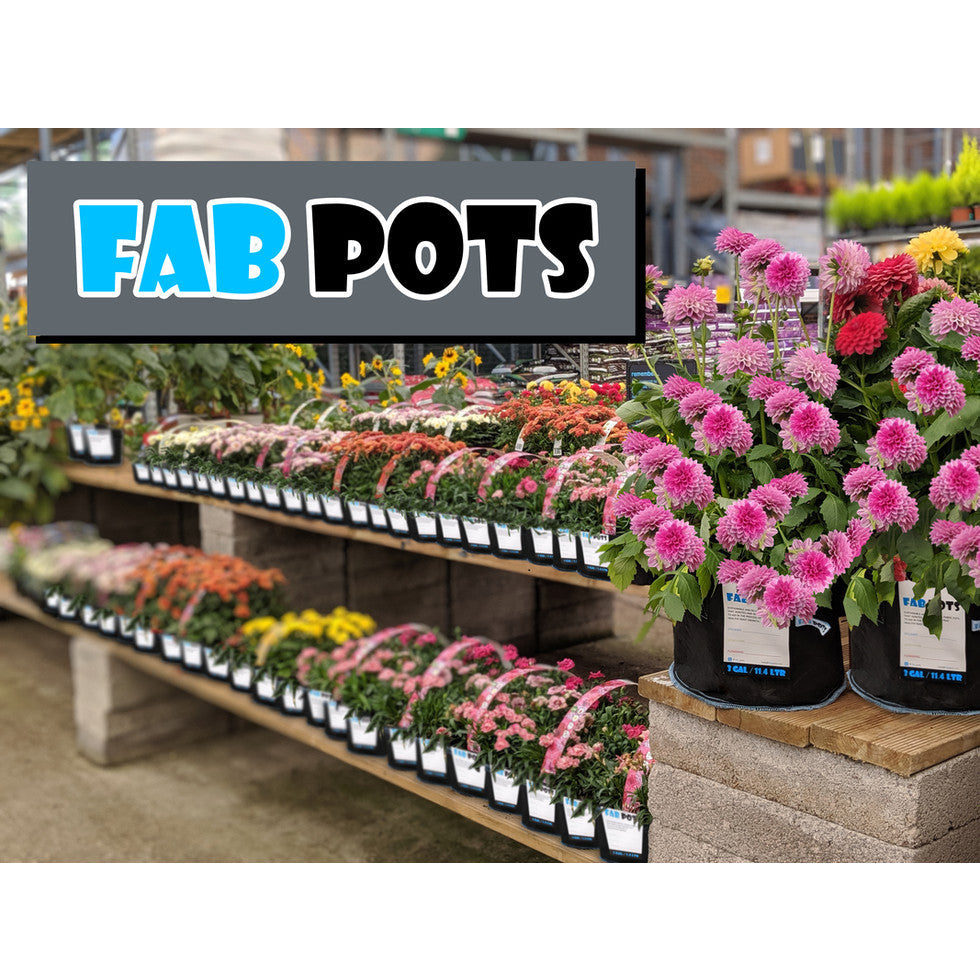 Fab Pots 11.4L Fabric Pot  - 25cm (5 Pack) - 3 gal