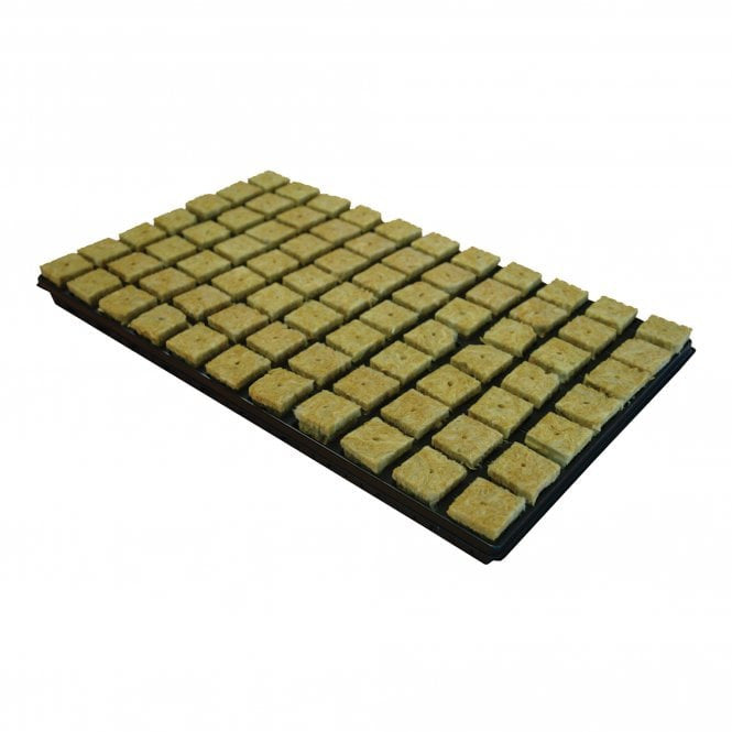 Grodan SBS Large :Tray 77 with hole (18 Trays)