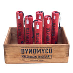 Dynomyco 200g Sticks in Display Box 20 + 1 FOC - (B)