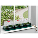 Garland Three Top Windowsill Propagator