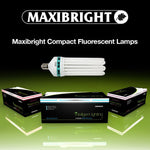 Maxibright - CFL 300 Watt (Blue Spectrum Lamp)