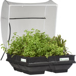 VegePod Medium Raised Garden Bed with cover - (C)