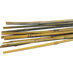 Bamboo Canes - (6ft) 1.8m x 14-16mm (Pack of 150)