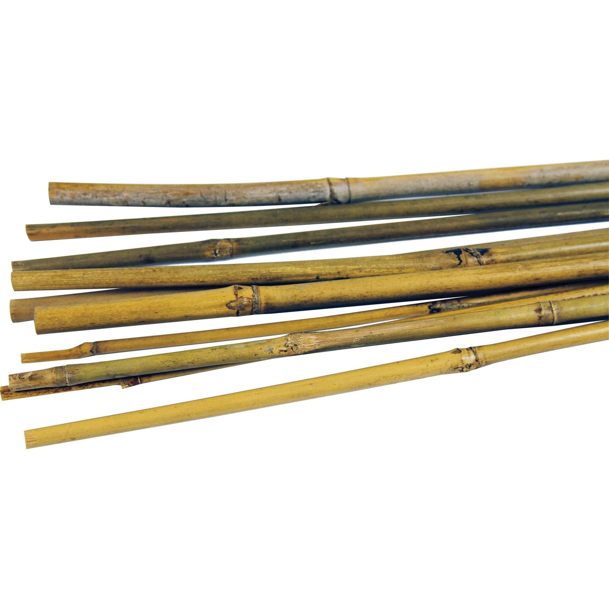 Bamboo Canes - (6ft) 1.8m x 14-16mm (Pack of 25)