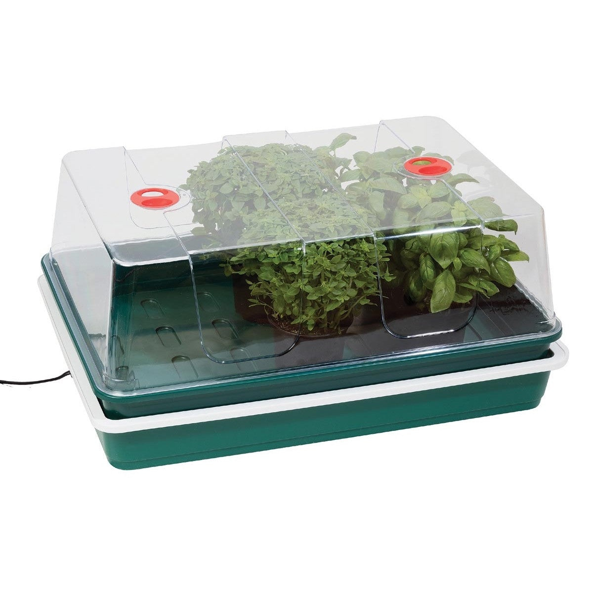 Garland XL High Dome Electric Propagator