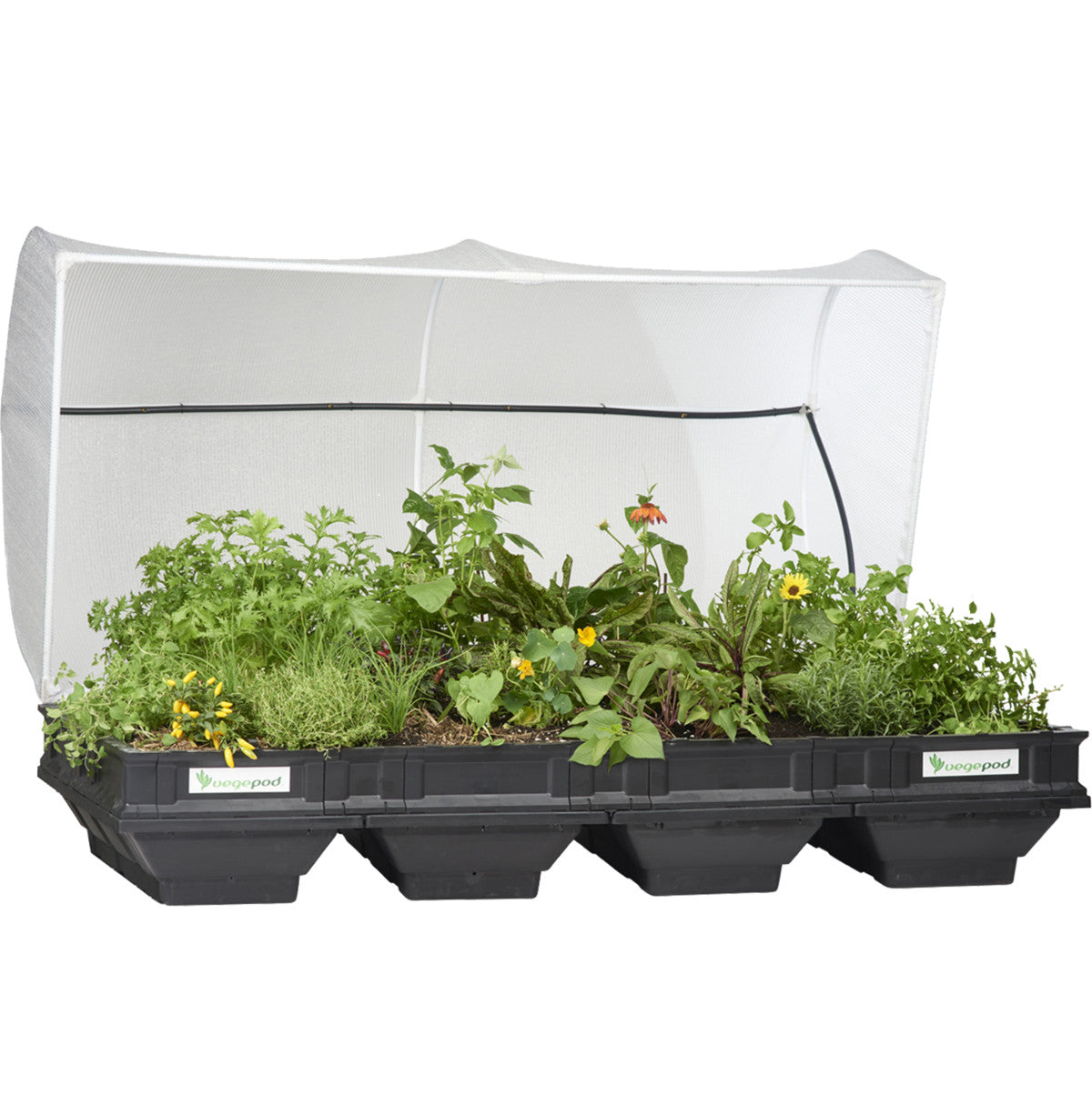 VegePod Large Raised Garden Bed with cover - (C)