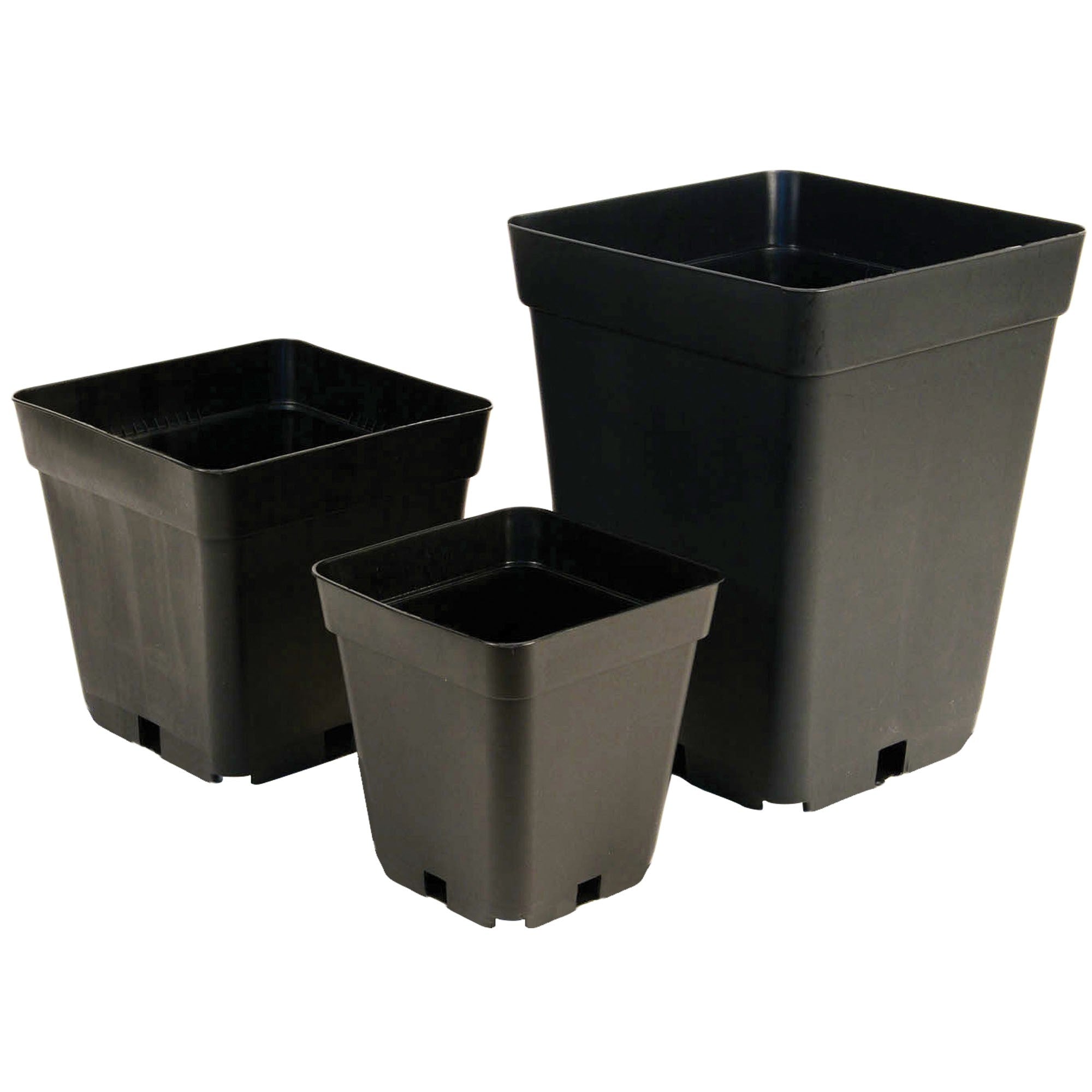 Square Pot 11L